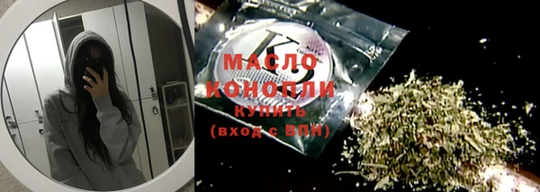 дмт Ельня