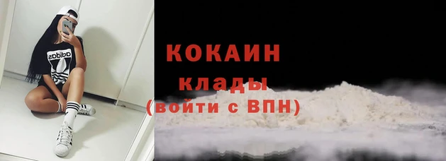 дмт Ельня