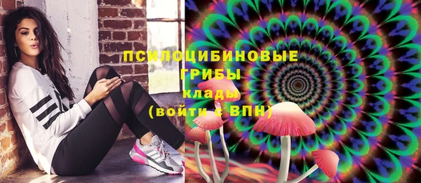 mdpv Дмитровск
