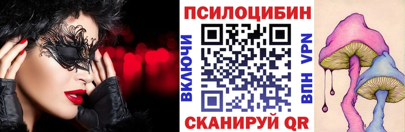 купить наркотики цена  Заринск  Псилоцибиновые грибы Psilocybine cubensis 