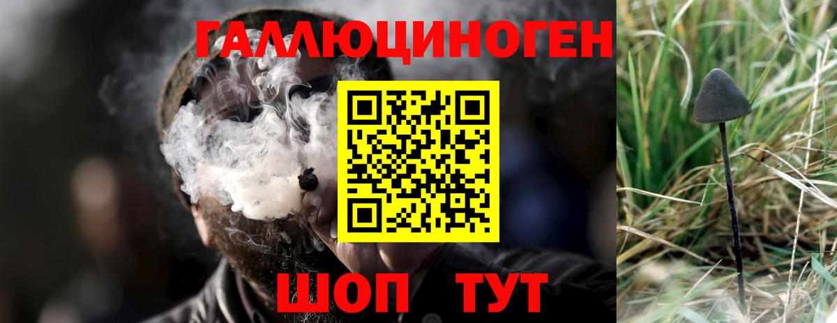 Заринск  Галлюциногенные грибы прущие грибы  Вход с VPN  где можно купить   Галлюциногенные грибы MAGIC MUSHROOMS 